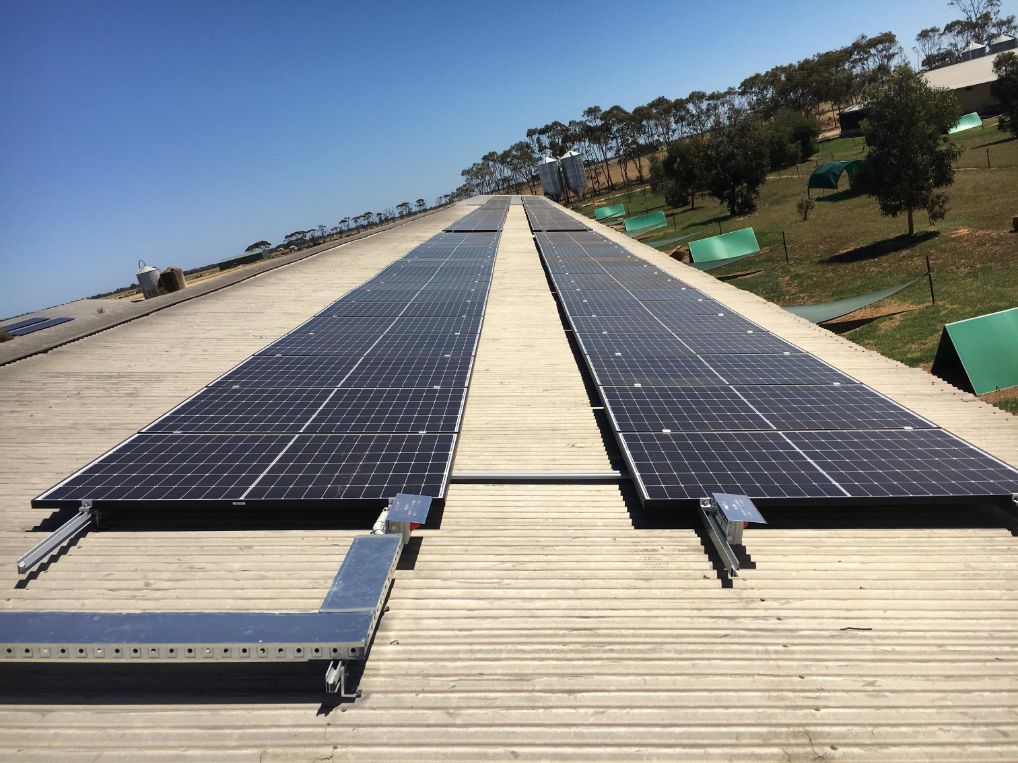Large-scale Seraphim solar array on agricultural farm roof
