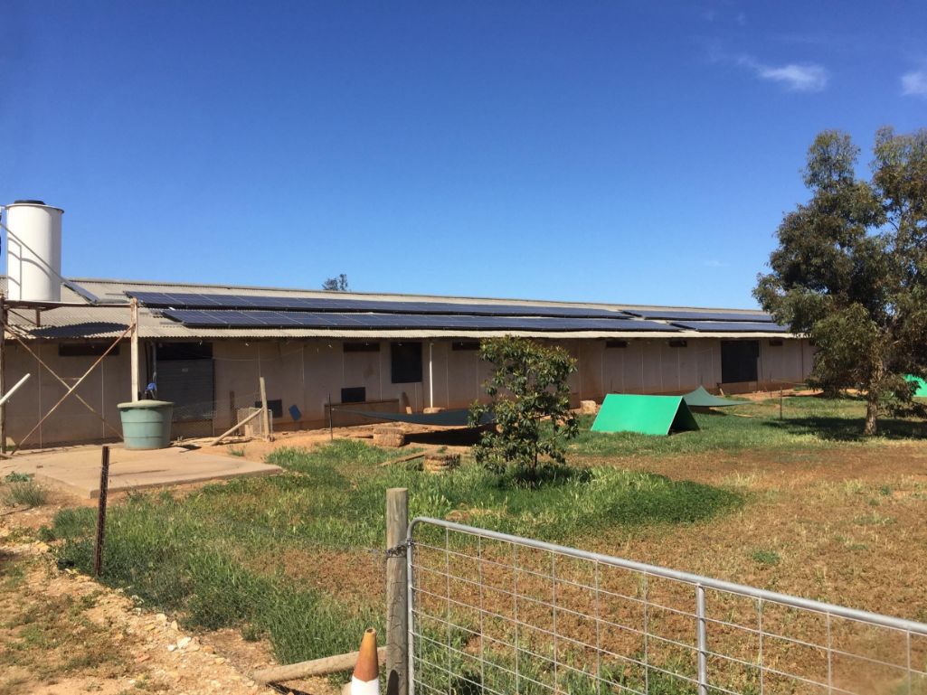 Commercial solar panels installed on chicken farm sheds