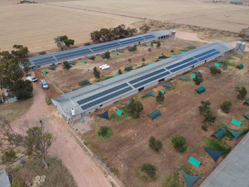 Aerial view of commercial chicken farm solar installation in South Australia