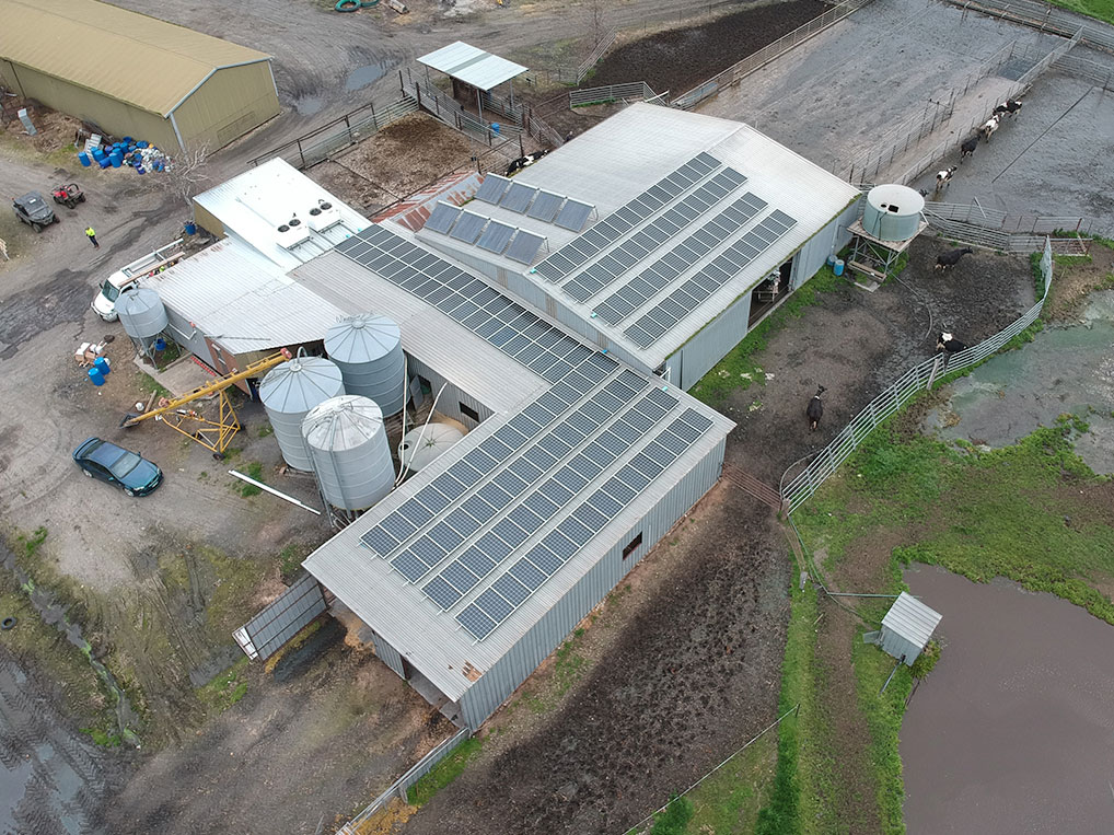 Aerial view of large-scale dairy farm solar installation in Victoria