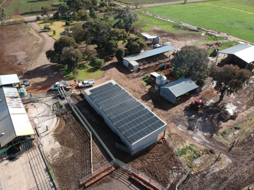 Commercial solar panels on dairy farm shed roof